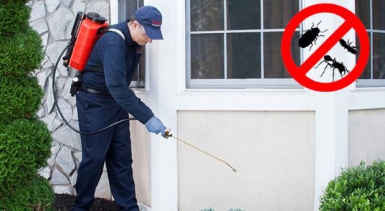 Lüleburgaz Hamam Böceği İlaçlama böcek ilaçlama ve haşere kontrolü — ilaclama-tr.com